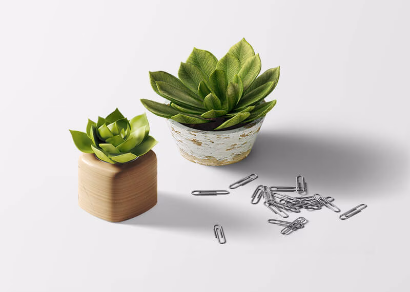 WordPress Portfolio ✅ 500+ Projects ✅ 18+ Years Experience ✅ Case Studies with Metrics ✅ Core Web Vitals 90+ ✅ E-commerce & Enterprise Solutions.